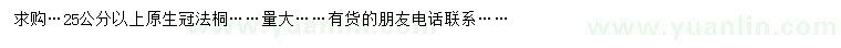 求購25公分以上法桐