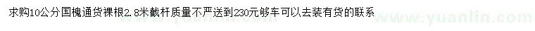 求購10公分國槐