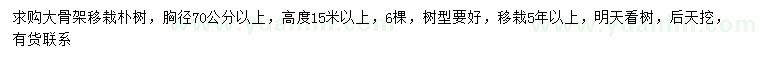 求購(gòu)胸徑70公分以上樸樹(shù)