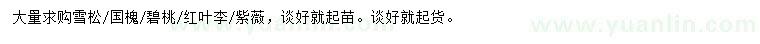 求購雪松、國槐、碧桃等