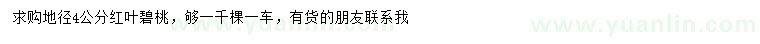 求購地徑4公分紅葉碧桃
