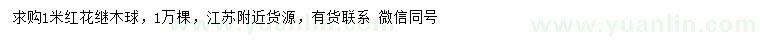 求購1米紅花繼木球
