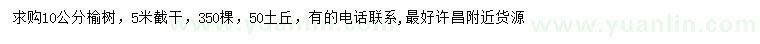 求購10公分榆樹