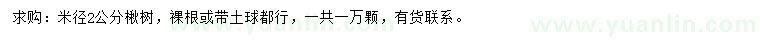 求購(gòu)米徑2公分楸樹