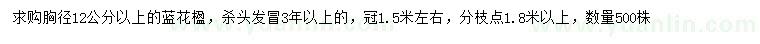 求購胸徑12公分以上藍花楹