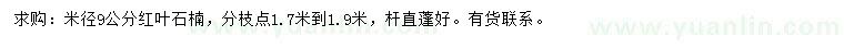 求購米徑9公分紅葉石楠