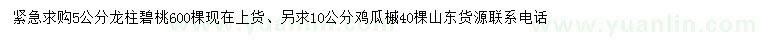求購5公分龍柱碧桃、10公分雞瓜槭