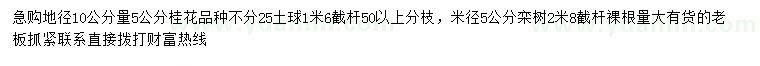 求購(gòu)地徑10量5公分桂花、米徑5公分欒樹(shù)