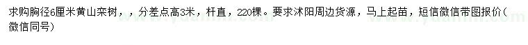 求購胸徑6公分黃山欒樹