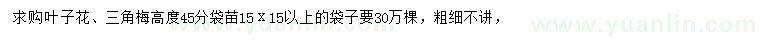 求購(gòu)高45公分葉子花、三角梅