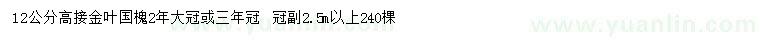 求購(gòu)12公分高接金葉國(guó)槐