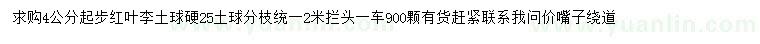 求購4公分起步紅葉李