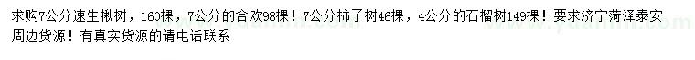 求購7公分速生楸