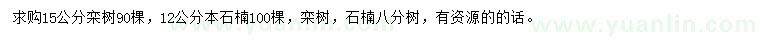 求購15公分欒樹、12公分本石楠