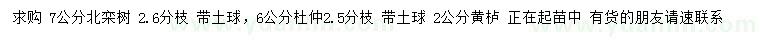 求購7公分北欒樹、6公分杜仲