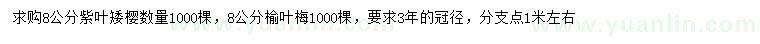 求購8公分紫葉矮櫻、榆葉梅