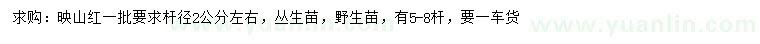 求購桿徑2公分左右映山紅