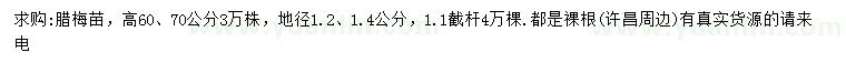 求購地徑1.2、1.4公分臘梅苗
