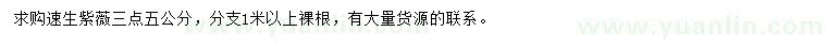 求購3.5公分速生紫薇