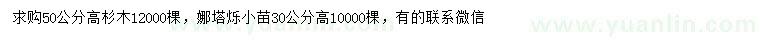 求購高50公分杉木、30公分娜塔爍小苗