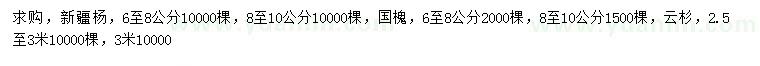 求購新疆楊、國槐、云杉