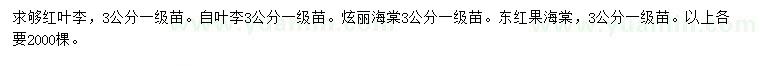 求購紅葉李、紫葉李、炫麗海棠等