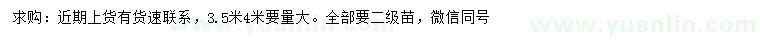 求購2.5、3、3.5、4米白皮松