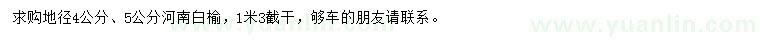 求購地徑4、5公分河南白榆