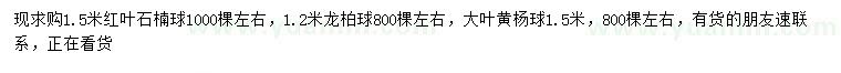 求購紅葉石楠球、龍柏球、大葉黃楊球