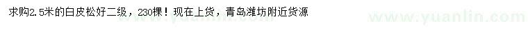 求購2.5米白皮松