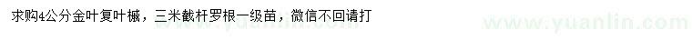 求購(gòu)4公分金葉復(fù)葉槭