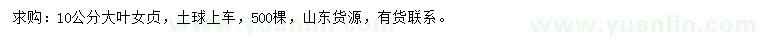 求購(gòu)10公分大葉女貞