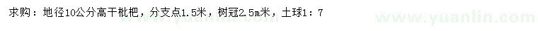 求購(gòu)10公分叢生枇杷