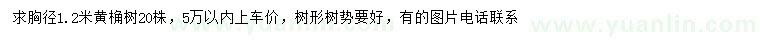 求購胸徑1.2米黃桷樹
