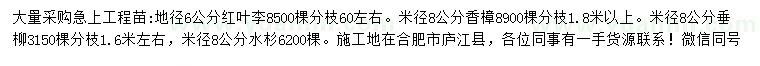 求購(gòu)紅葉李、香樟、垂柳等