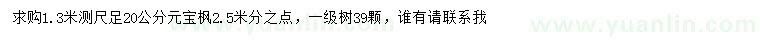 求購1.3米量足20公分元寶楓