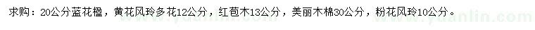求購(gòu)藍(lán)花楹、黃花風(fēng)玲木、紅苞木等