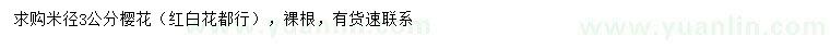 求購(gòu)米徑3公分櫻花