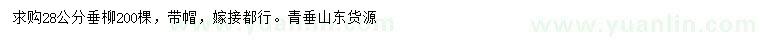求購28公分垂柳