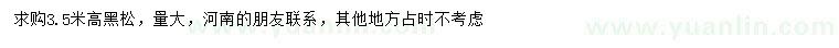 求購(gòu)高3.5米黑松