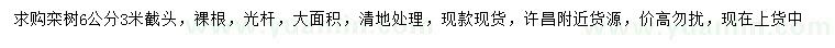 求購(gòu)6公分欒樹(shù)
