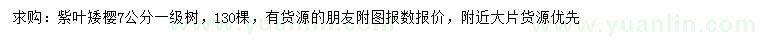 求購7公分紫葉矮櫻