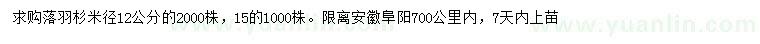 求購米徑12、15公分落羽杉