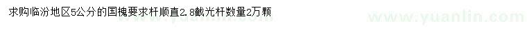 求購5公分國槐