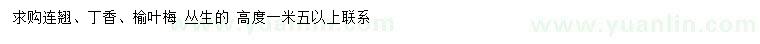 求購(gòu)連翹、丁香、榆葉梅