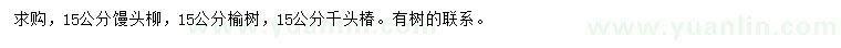 求購饅頭柳、榆樹、千頭椿