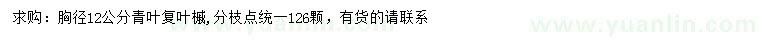 求購胸徑12公分青葉復(fù)葉槭
