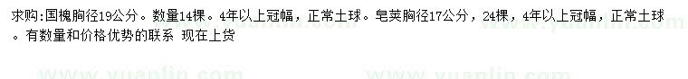 求購(gòu)胸徑19公分國(guó)槐、17公分皂莢