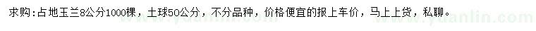 求購8公分玉蘭