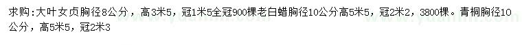求購大葉女貞、白蠟、青桐